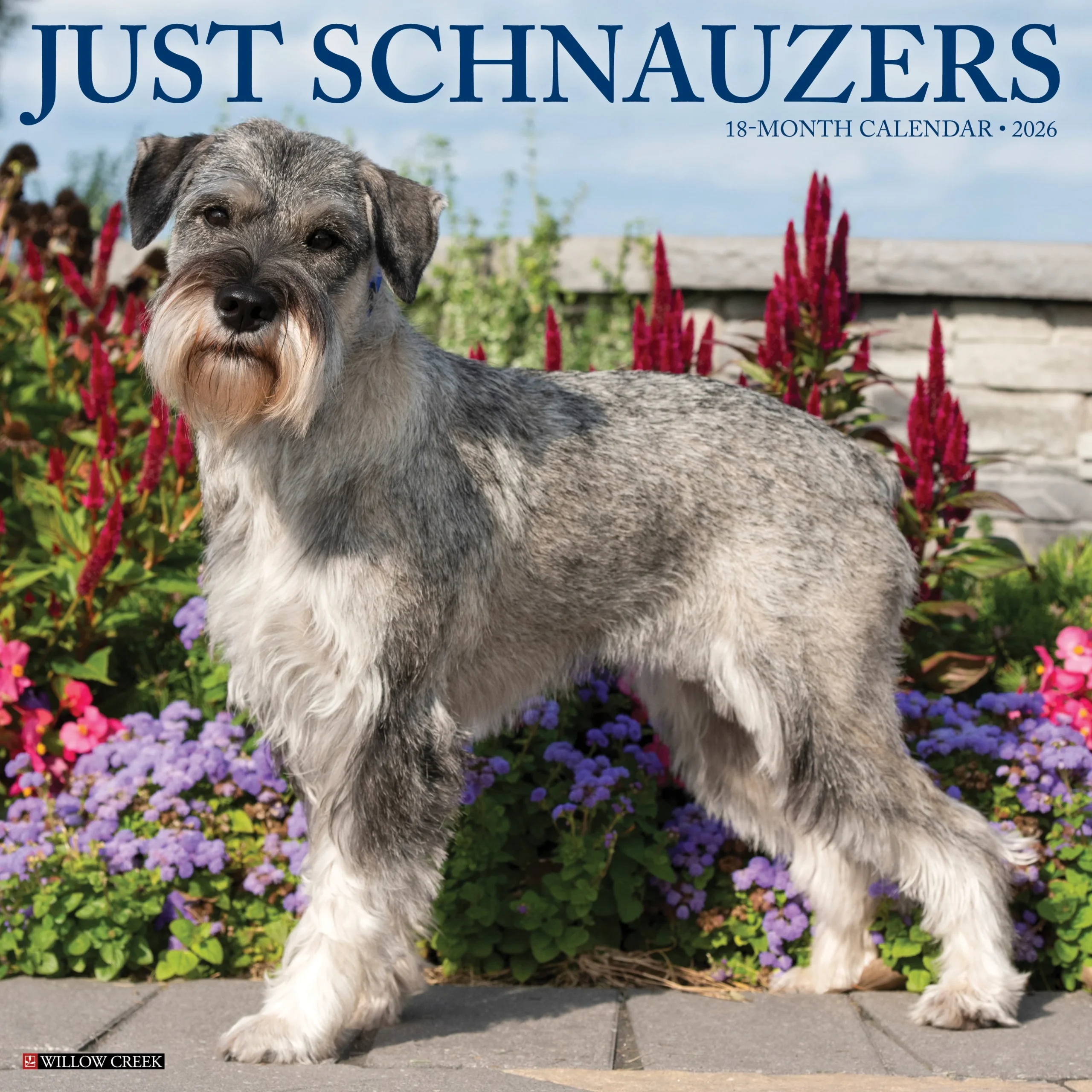 Printable December Christmas Schnauzer Calendar 2026