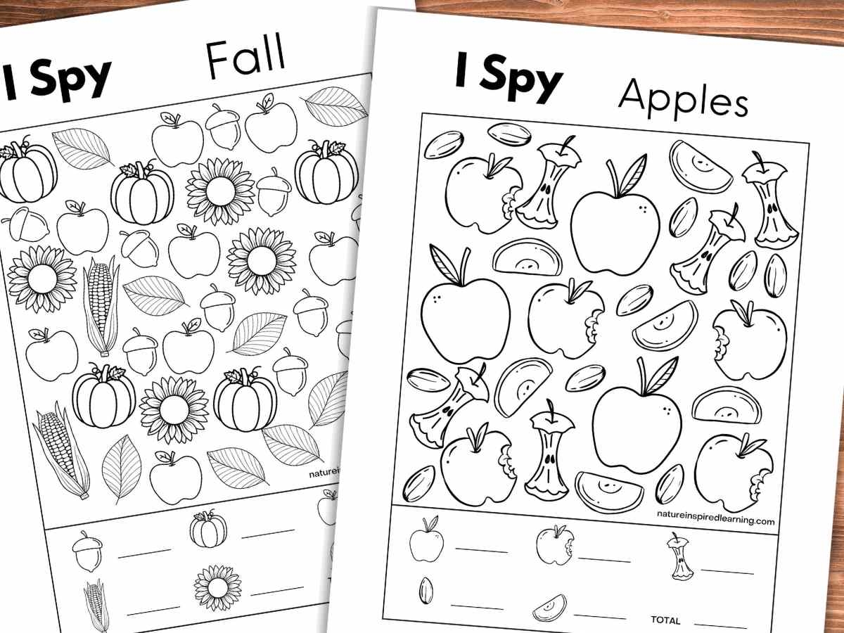 I Spy Printable Worksheets Adults