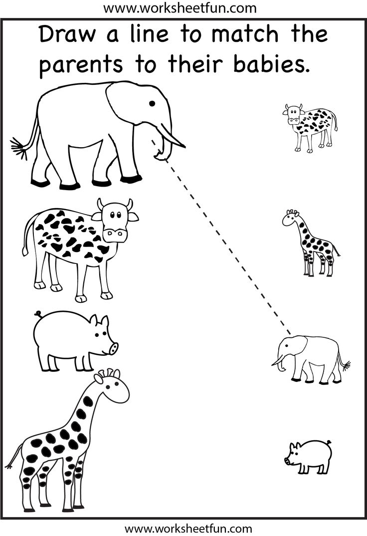 Animal Parents And Babies Match The Parents 2 Worksheets 