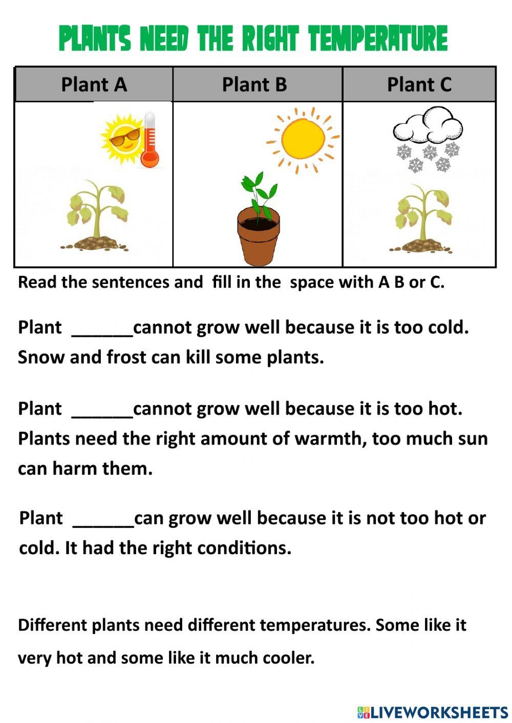 Cambridge Grade Free Interactive Worksheets 2014758