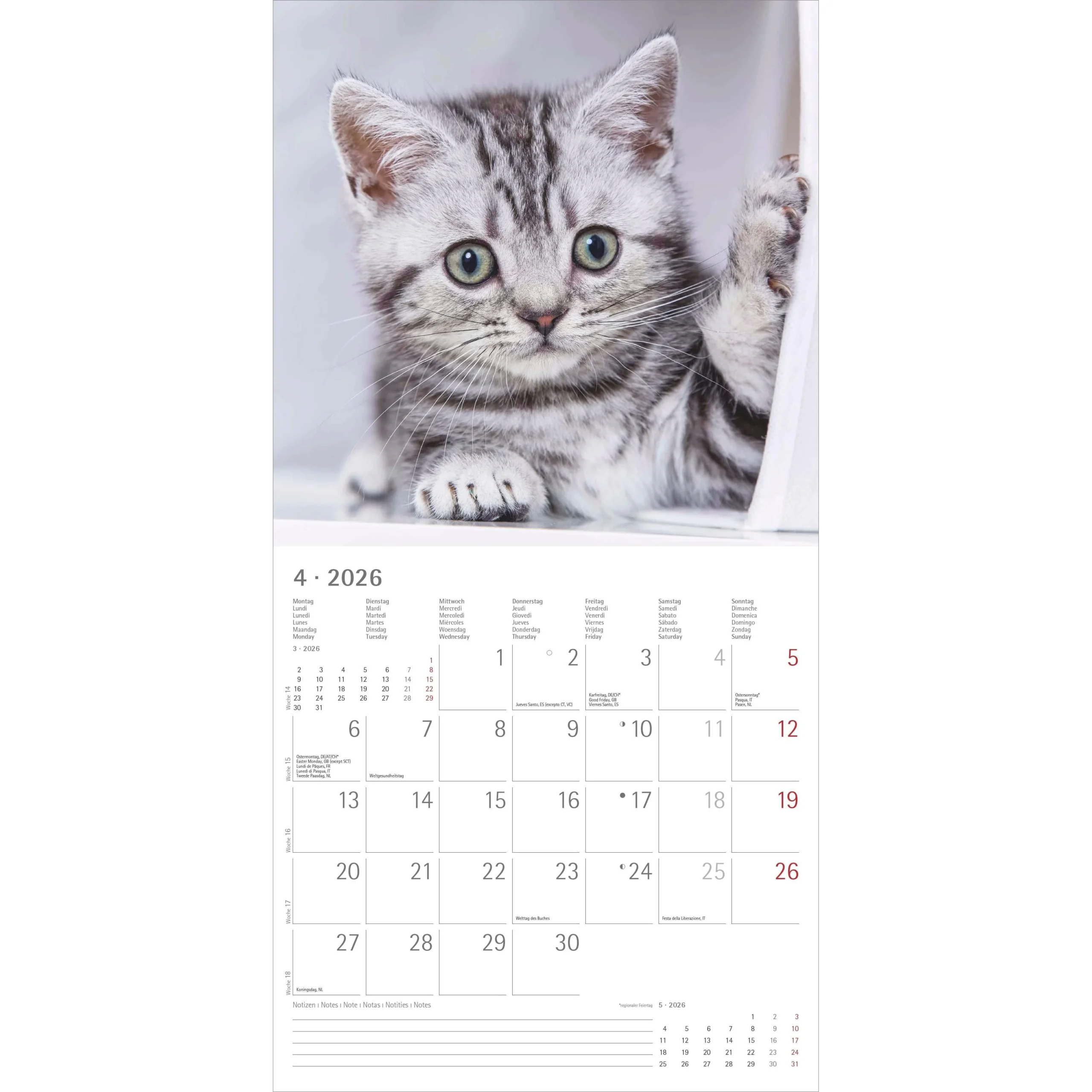 Cats 2026 Buy The 2026 Calendar At A Great Price Kalendersale de