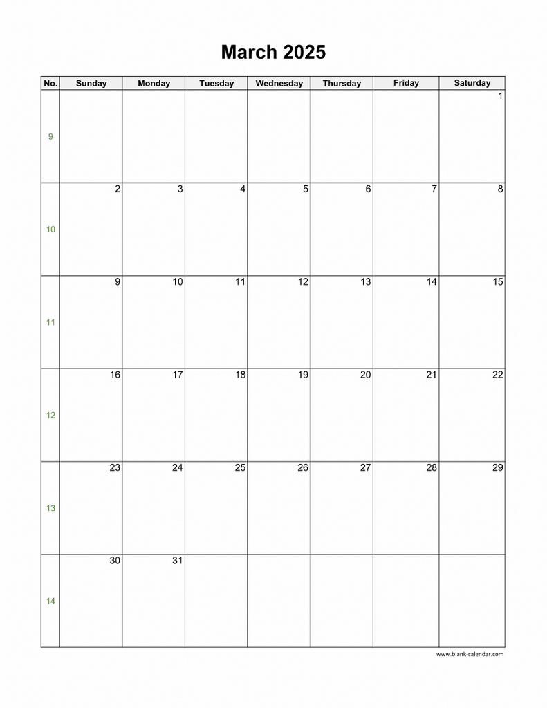 Download March 2025 Blank Calendar vertical 