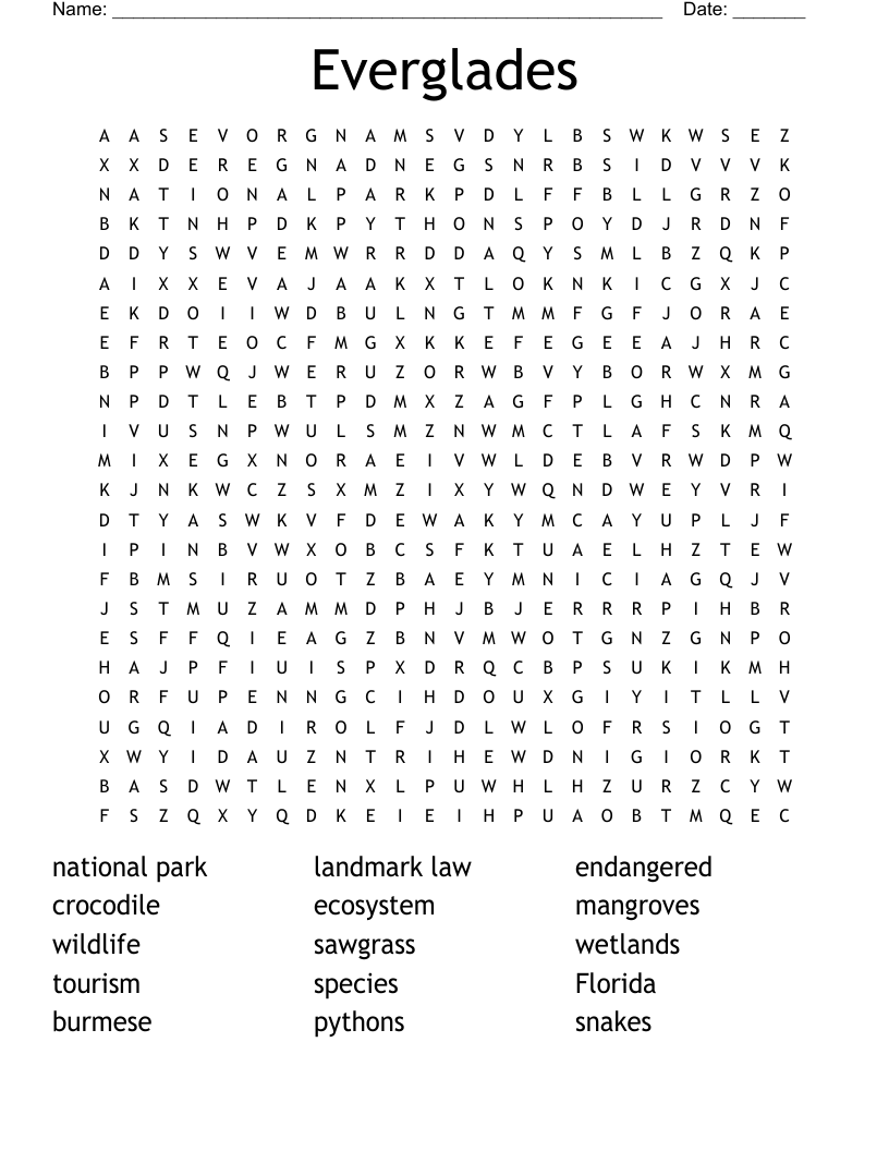 Everglades Word Search WordMint