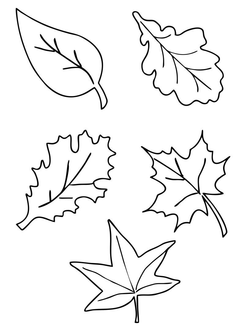 Fall Leaves Template Printable