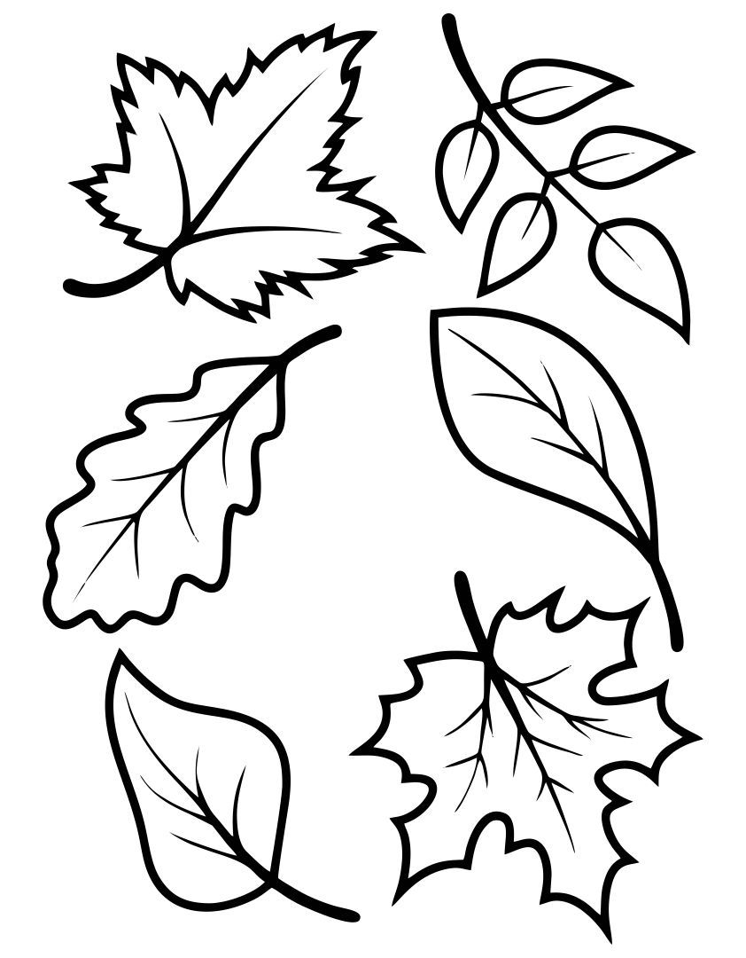 Free Printable Autumn Leaves Template