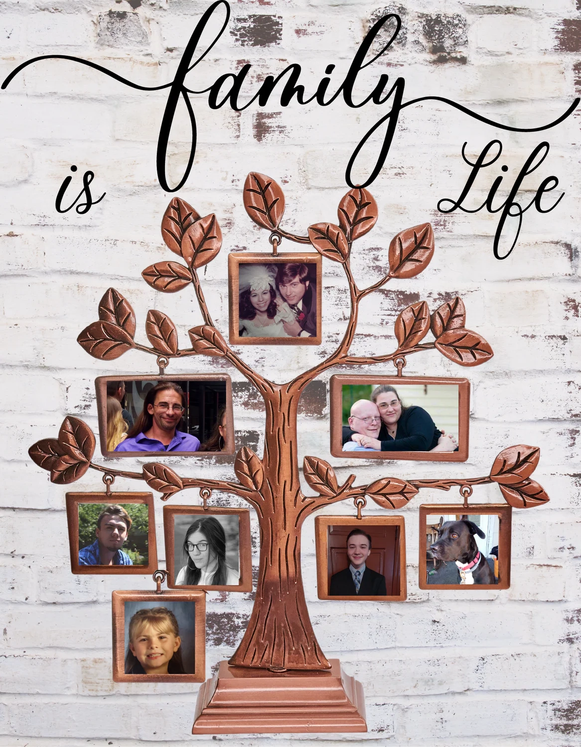  Family Is Life Family Tree Wall Art