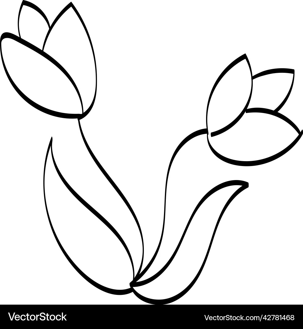 Flower Line Art Drawing For Print Royalty Free Vector VectorStock