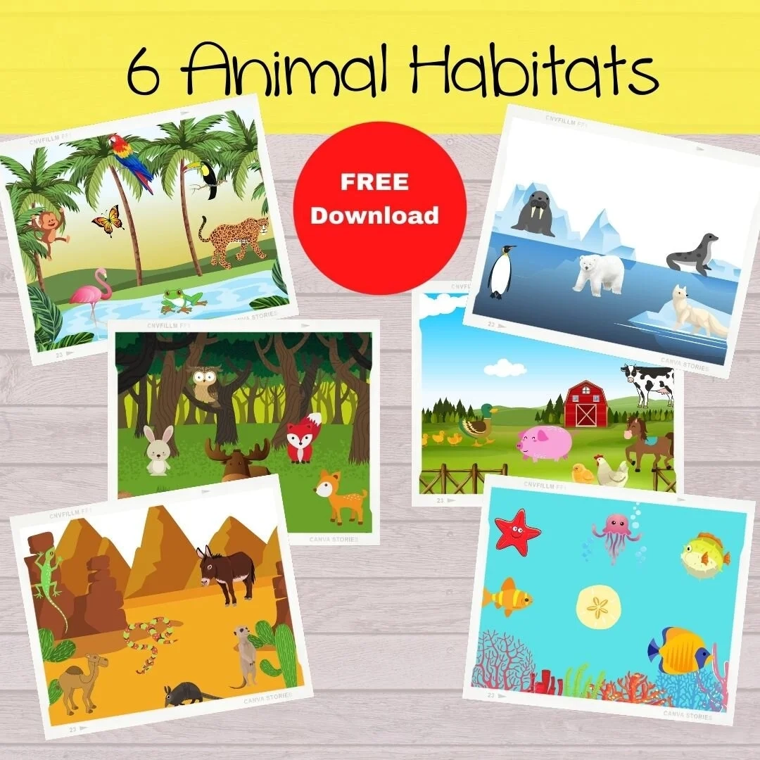 Free Download Animal Habitats Yellow Box Yoga