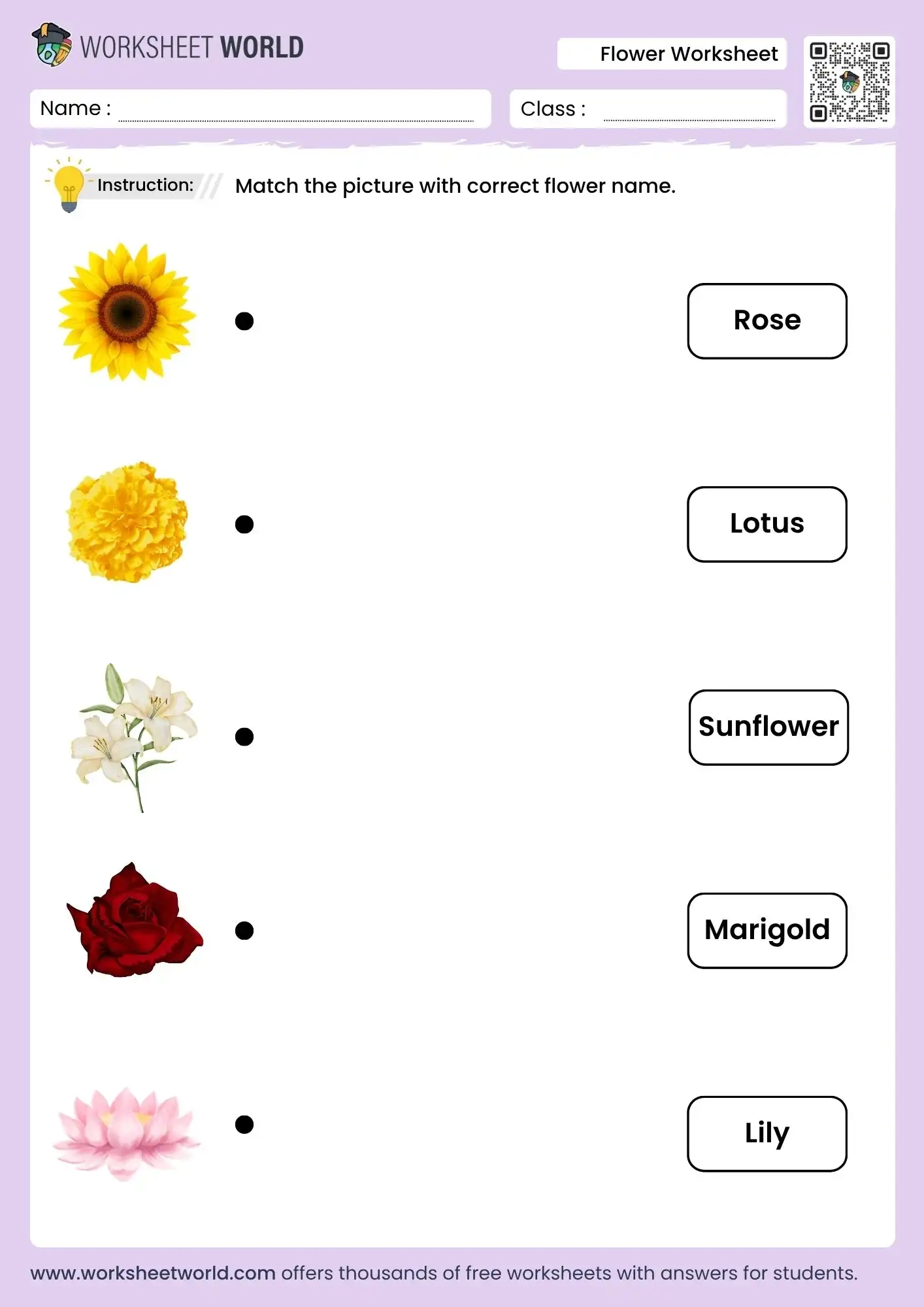 Free Printable Flower Worksheet For Kindergarten To Grade 1 