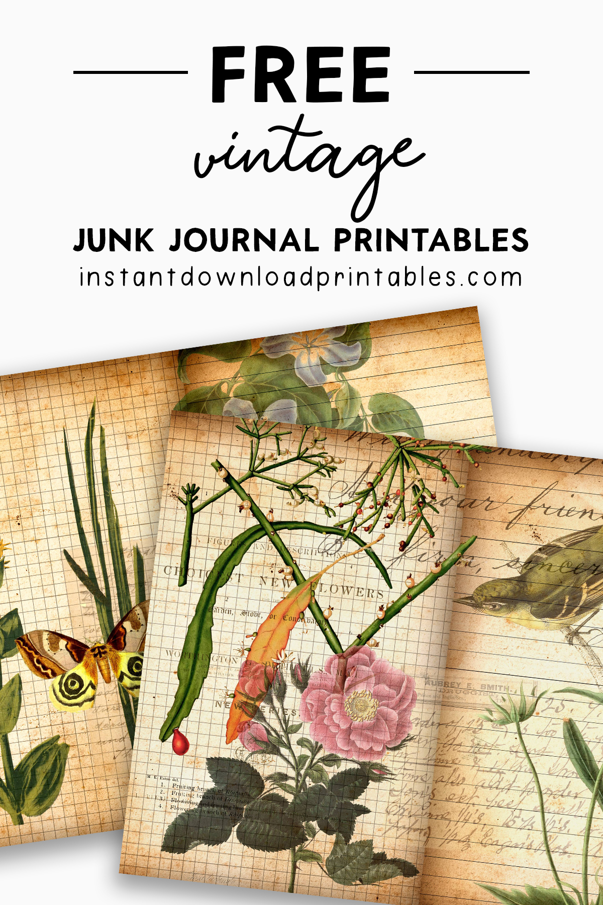 Free Vintage Junk Journal Scrapbook Digital Elephant Instant 