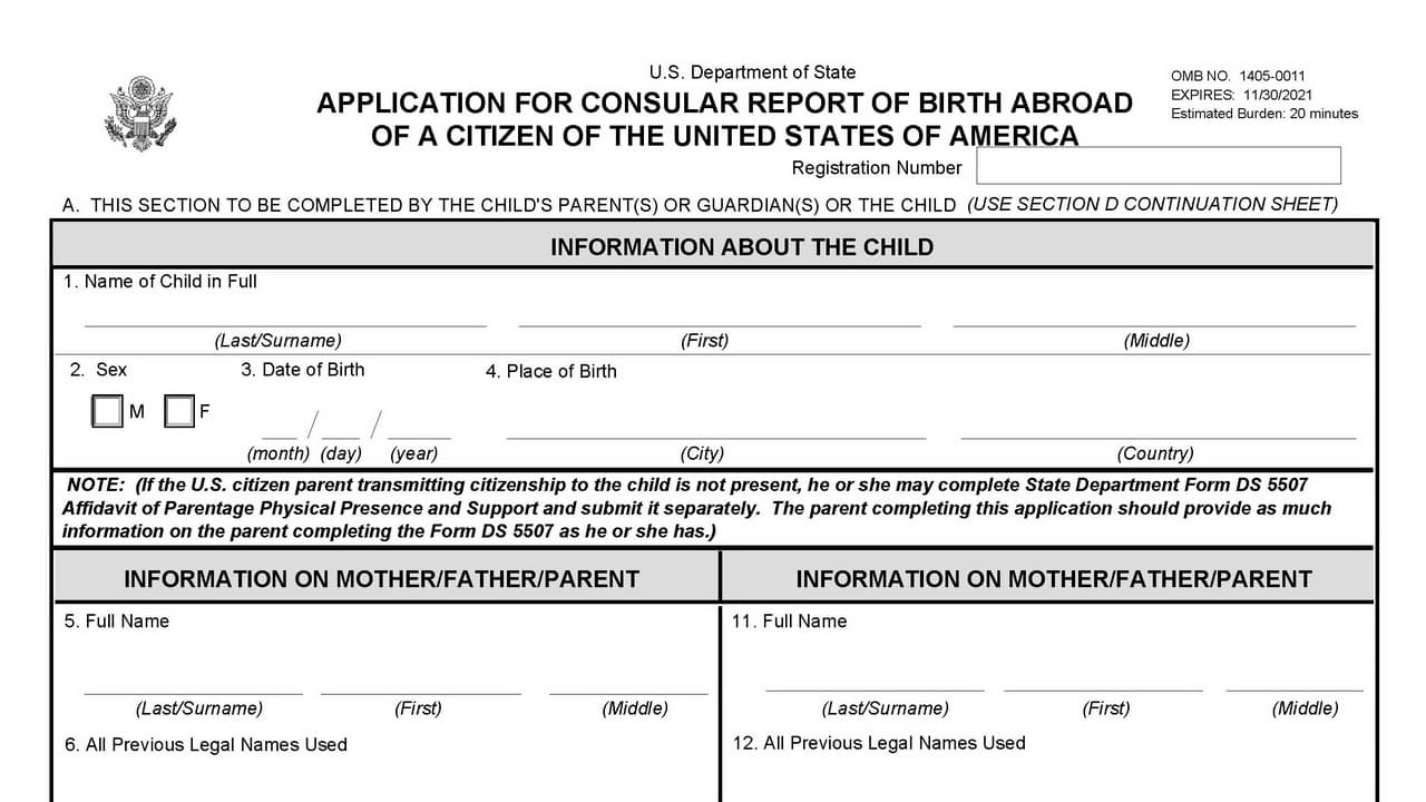 Form Ds 2029
