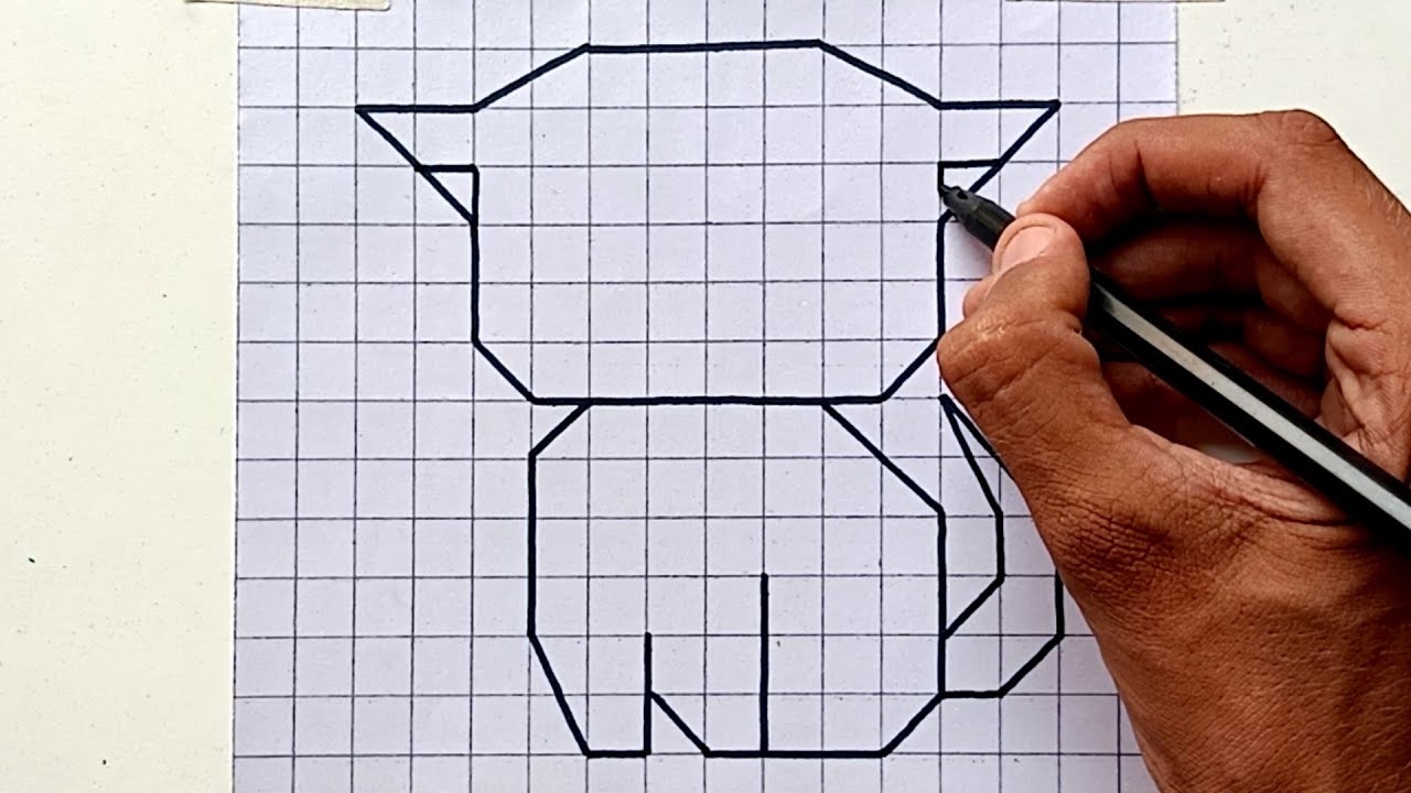 Graph Paper Coordinate Drawing