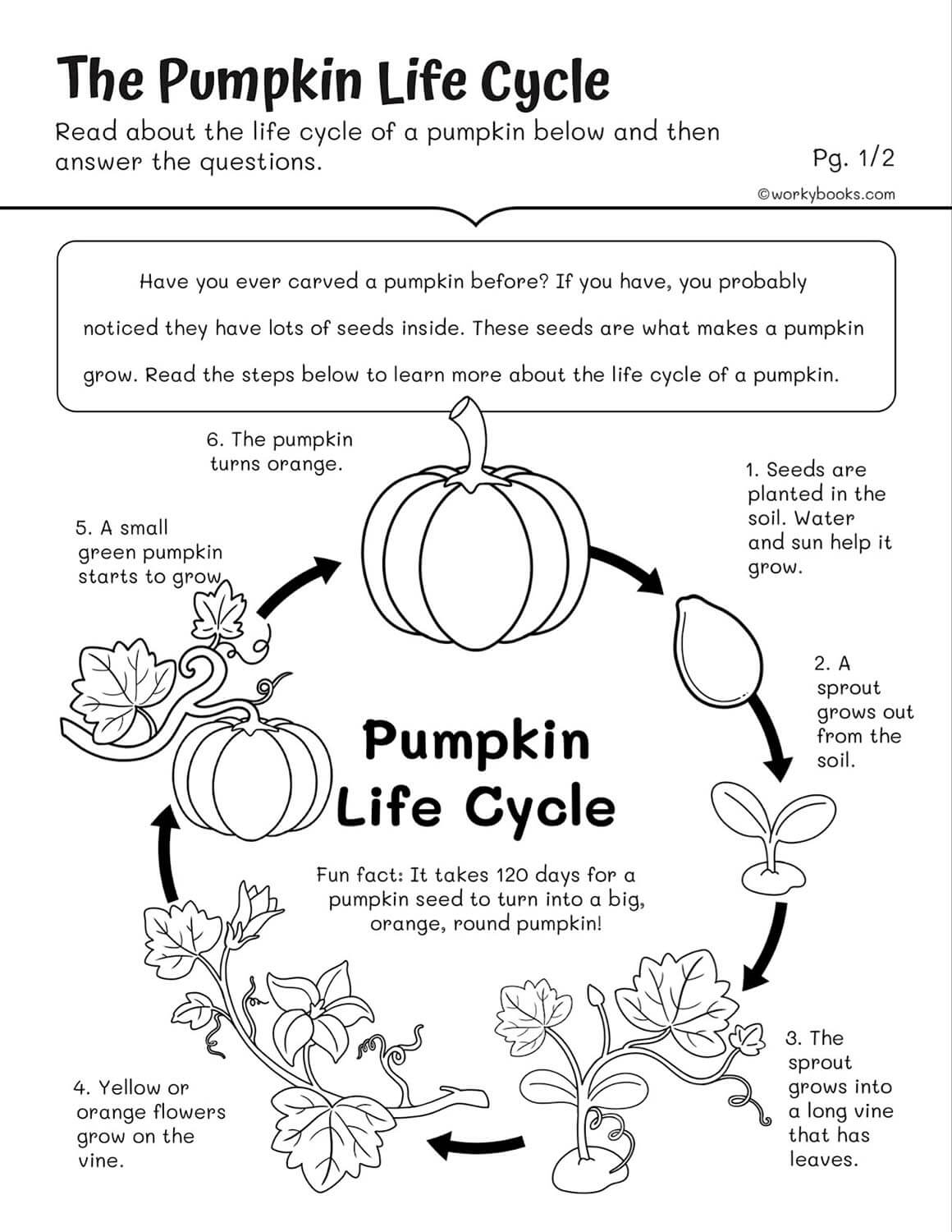 2nd Grade Science Worksheets Free Printables