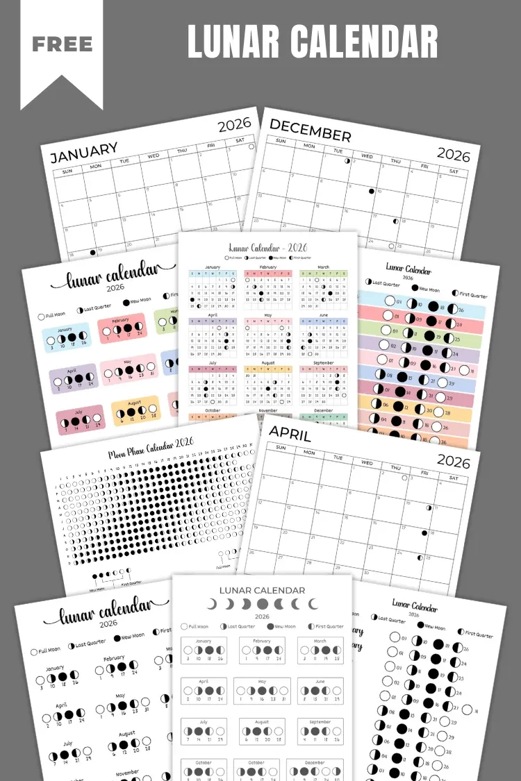 Printable Moon Phase Calendar November 2026