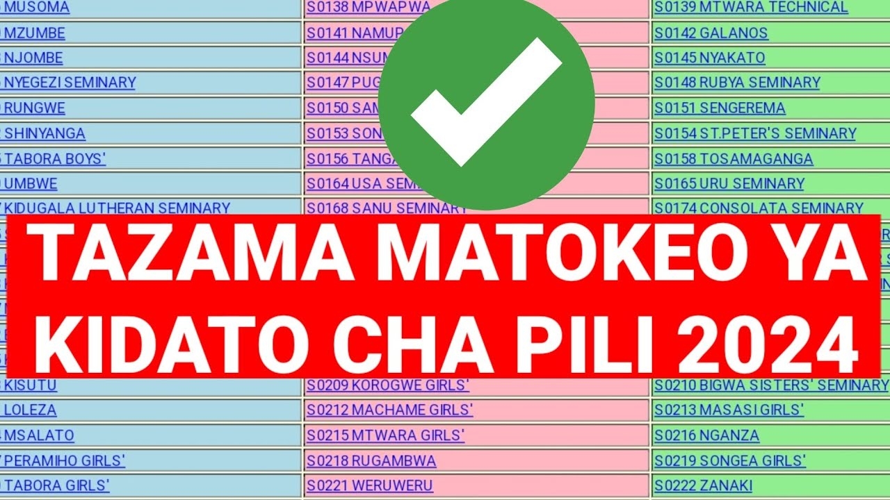 NECTA MATOKEO YA KIDATO CHA PILI FORM TWO 2024 2025