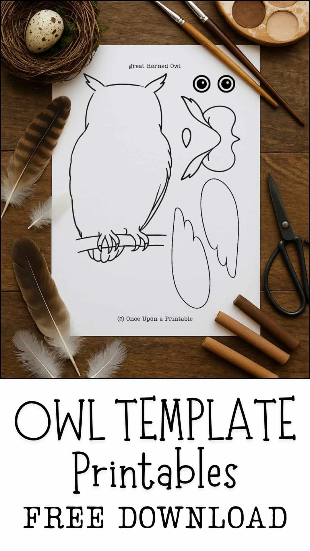 Printable Owl Outline Template