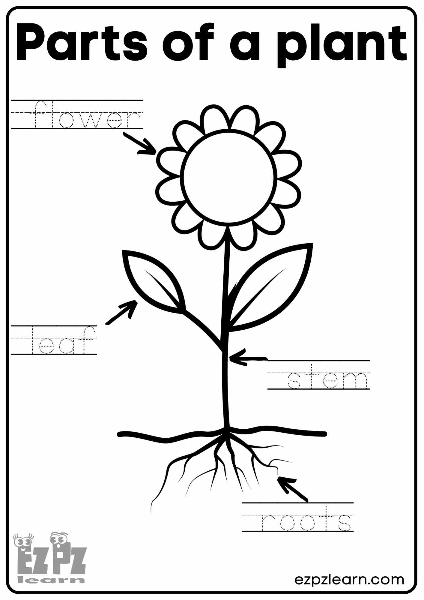 Flower Worksheet Printable