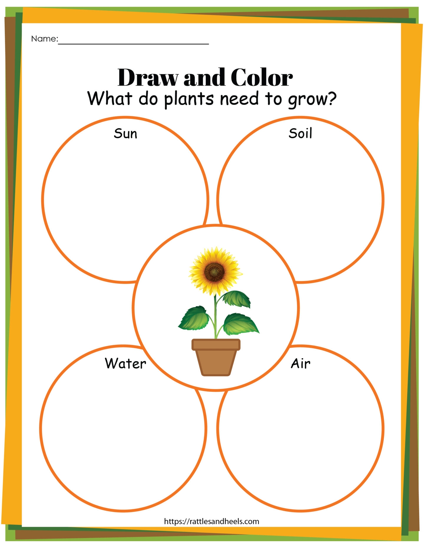 Plant Life Cycle Worksheets Free Printables For Kids Adanna Dill 
