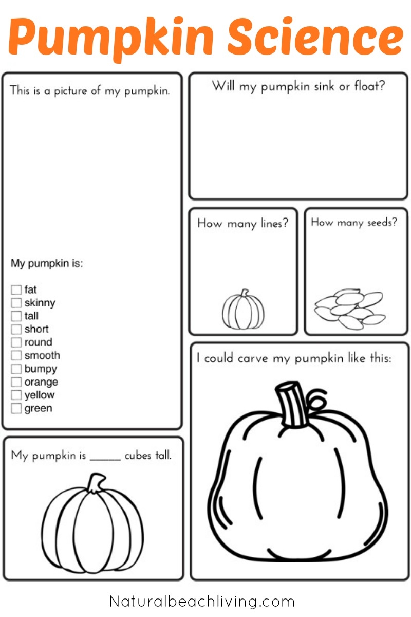 Pumpkin Activities For Kids Pumpkin Lesson Plans STEM 