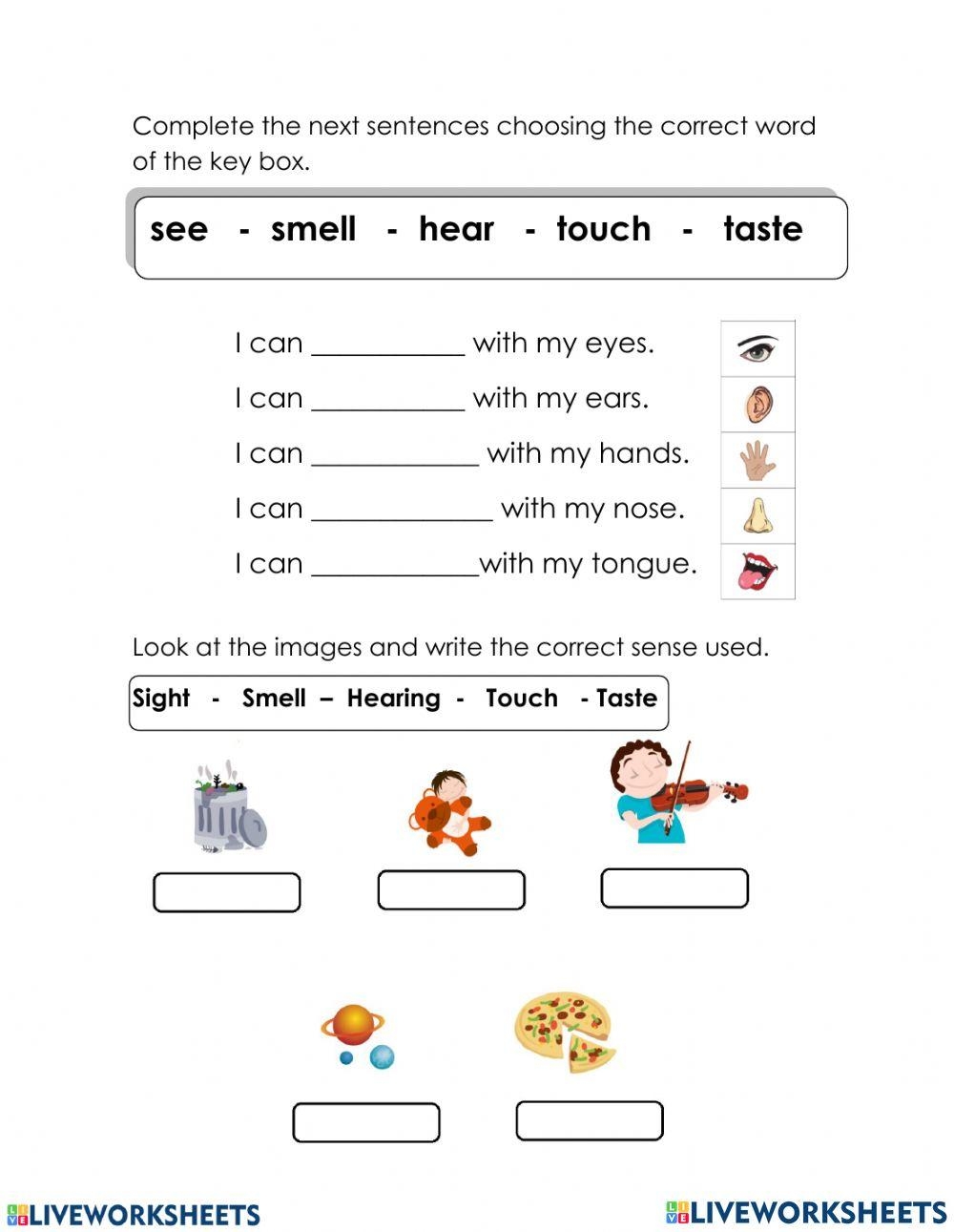 Printable Worksheets For 2nd Grade Science