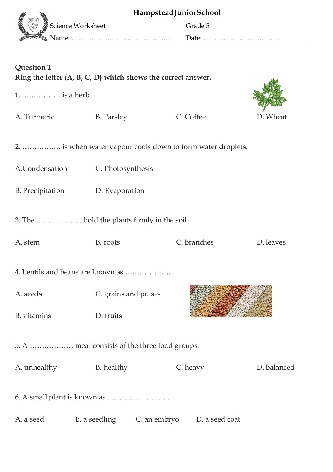 Science Worksheet 1 Grade 5 Worksheets Library