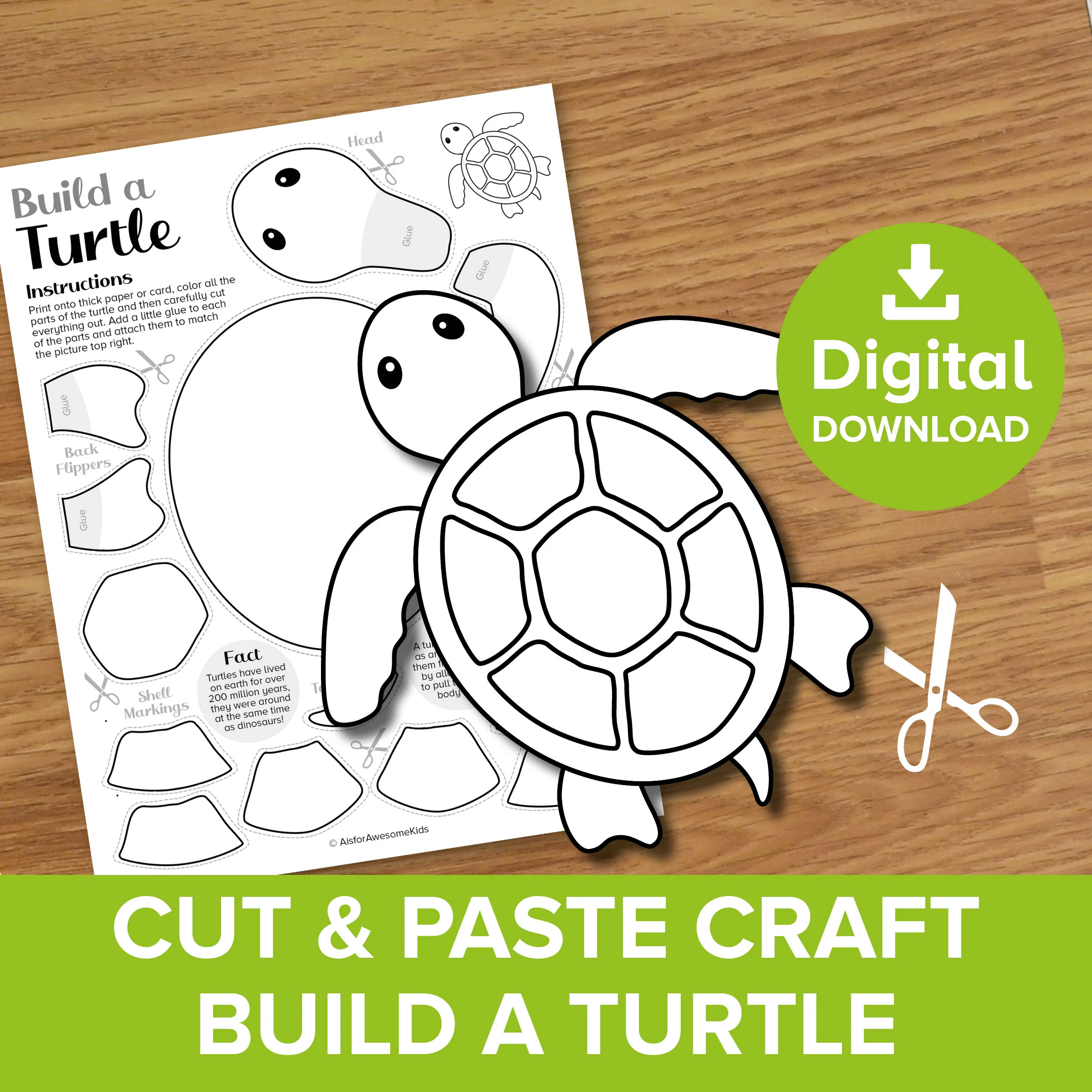 Turtle Cut amp Paste Craft Printable Spring Color And Build Art Kit 