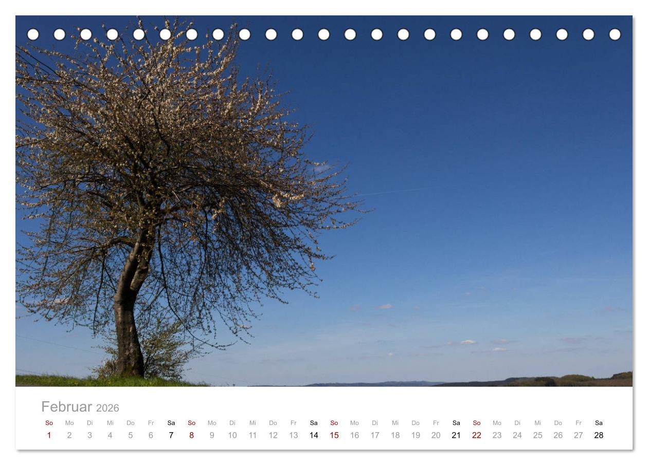 Wundersch ne B ume Im Sauerland