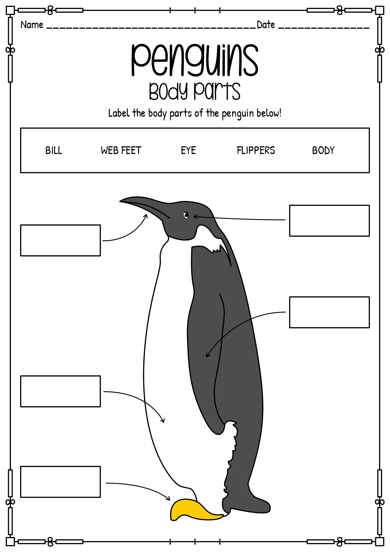 Free Printable Penguin Worksheets
