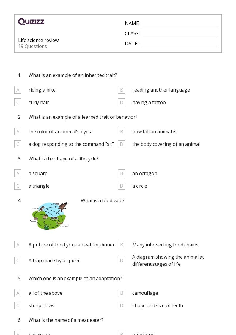 50 Life Science Worksheets For 3rd Grade On Quizizz Free 
