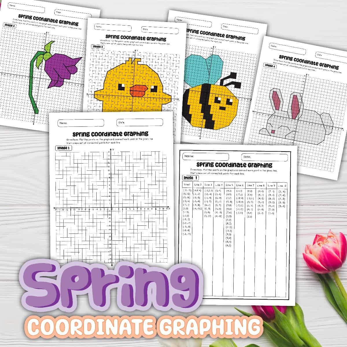Free Printable Coordinate Graph Pictures