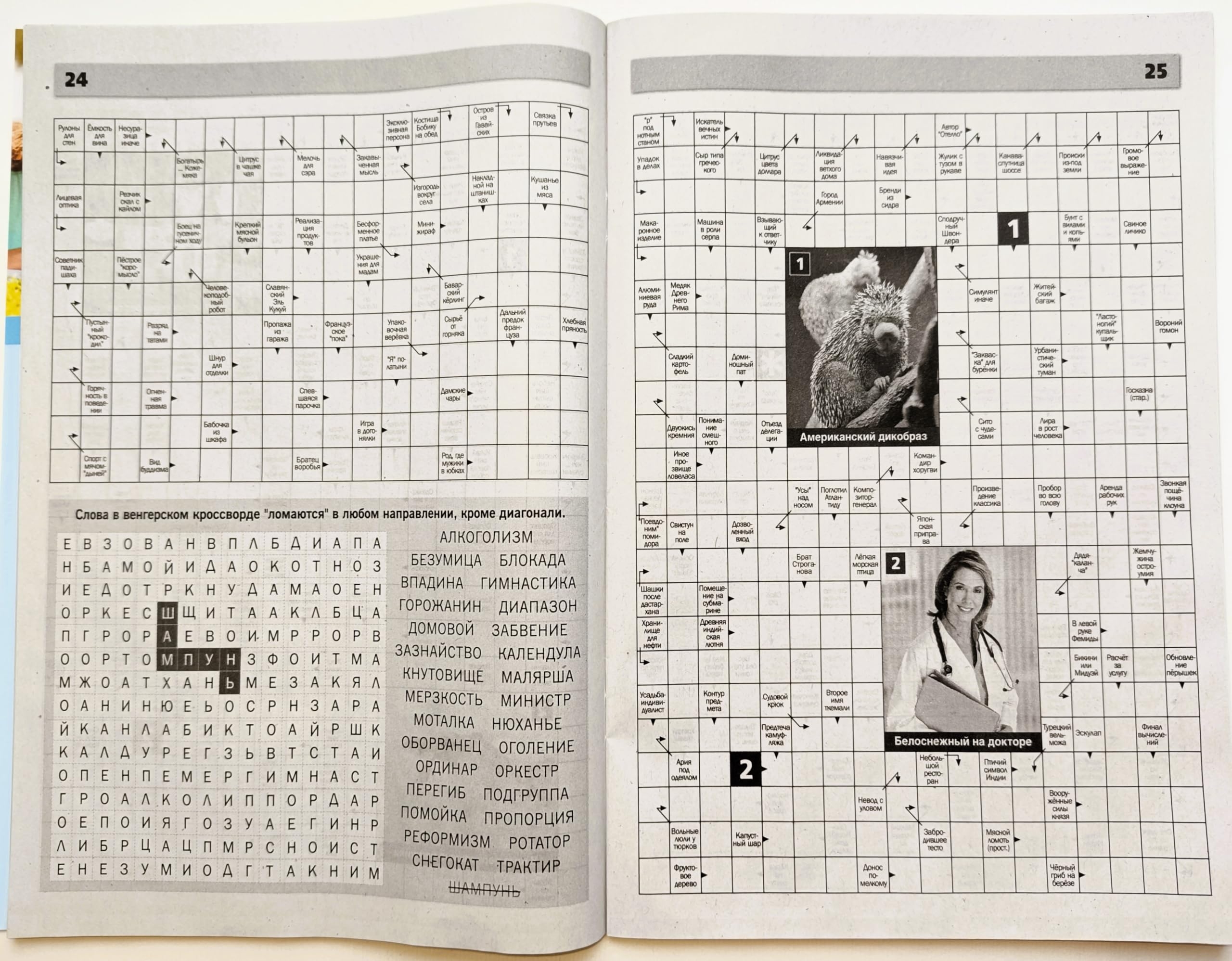 Amazon Labirint Krossvordov 3 2024 Russian Crossword Scanword 