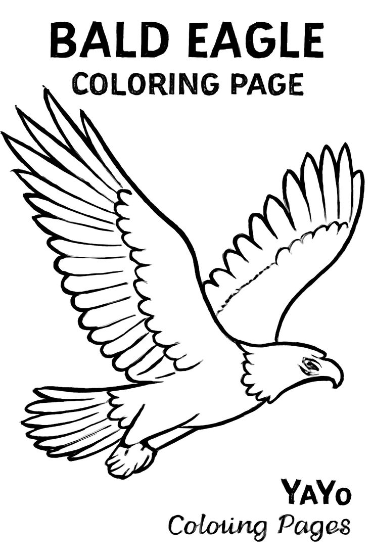 bald eagle coloring page free printable for kids amp adults yayo