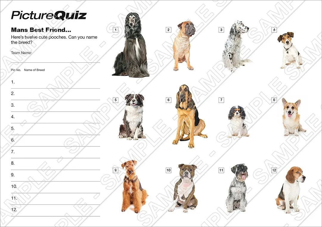 Breed Selector What Breed Is My Dog Picture Picture Quiz Answers 