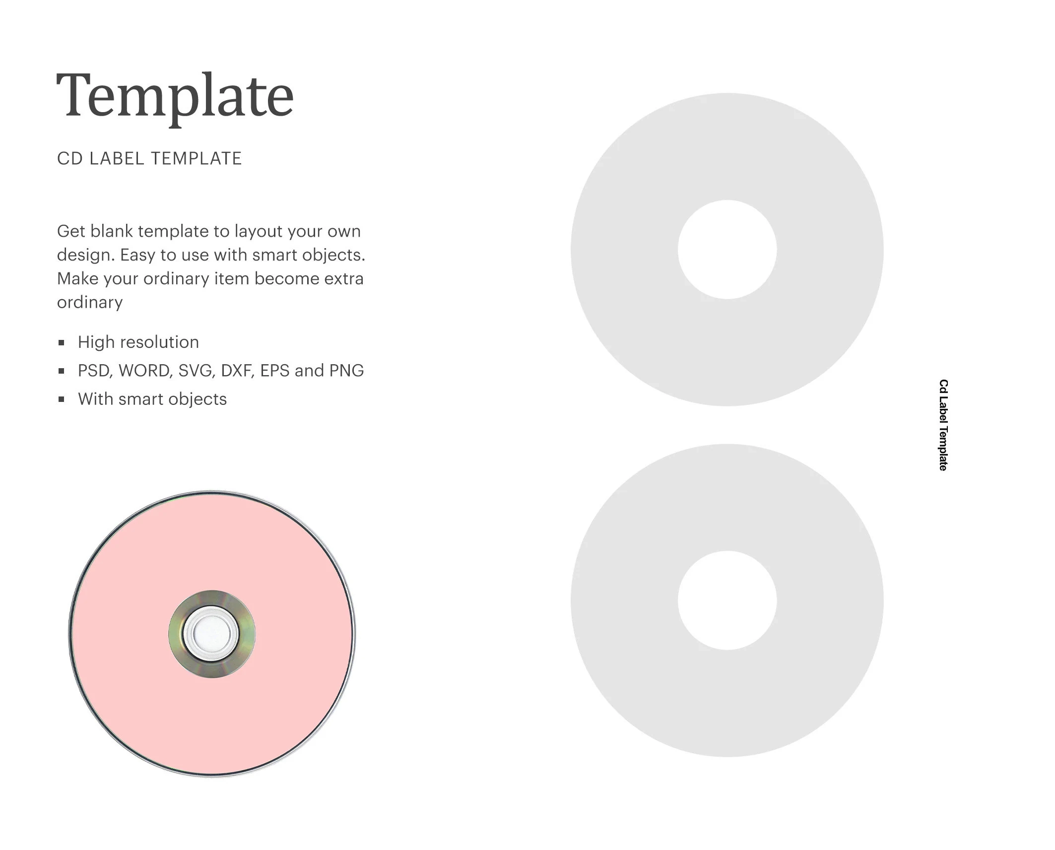 CD Label Template DVD Blank Label Template CD Blank Label 
