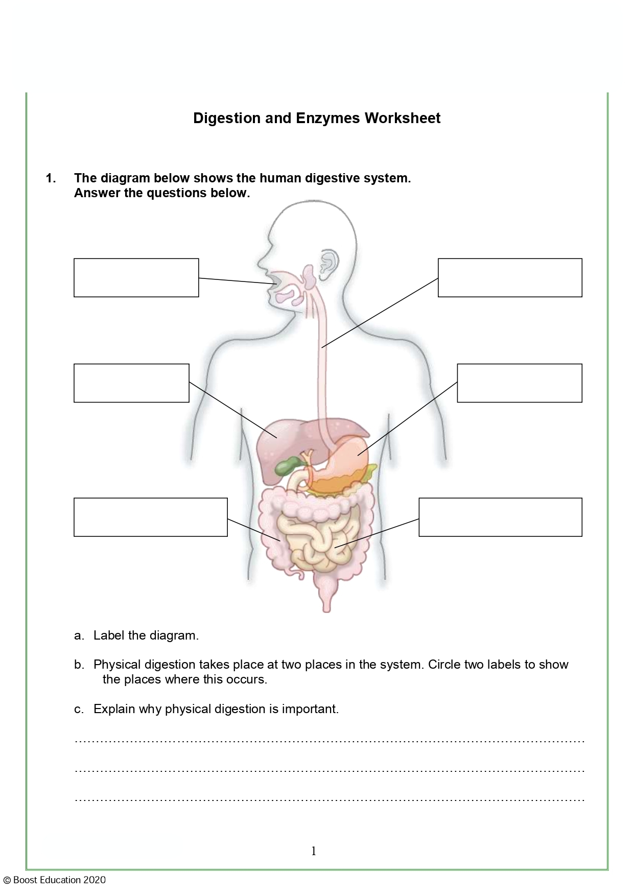 Download Free Printable Science Worksheets Boost Education