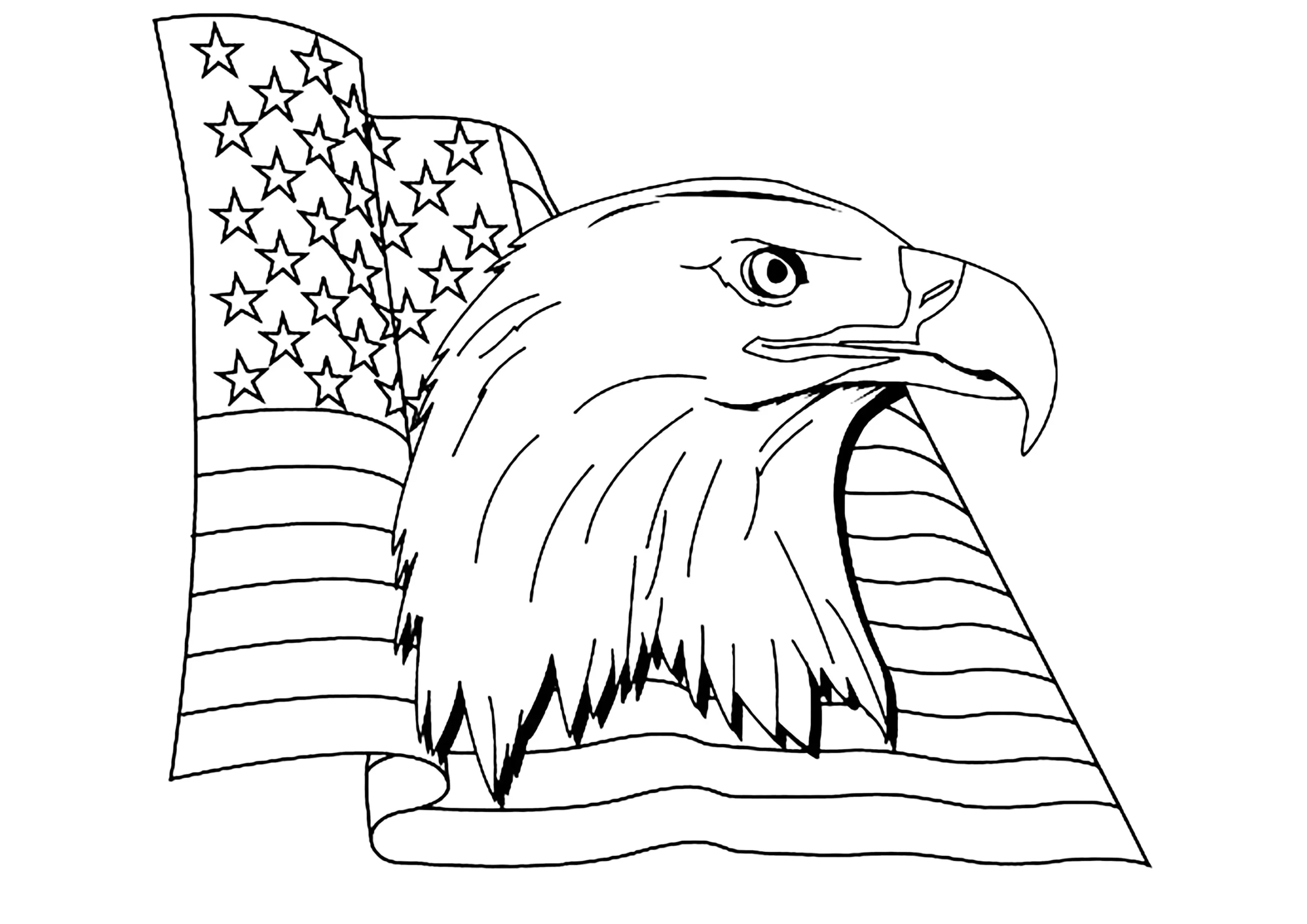eagle head and u s flag eagle coloring pages