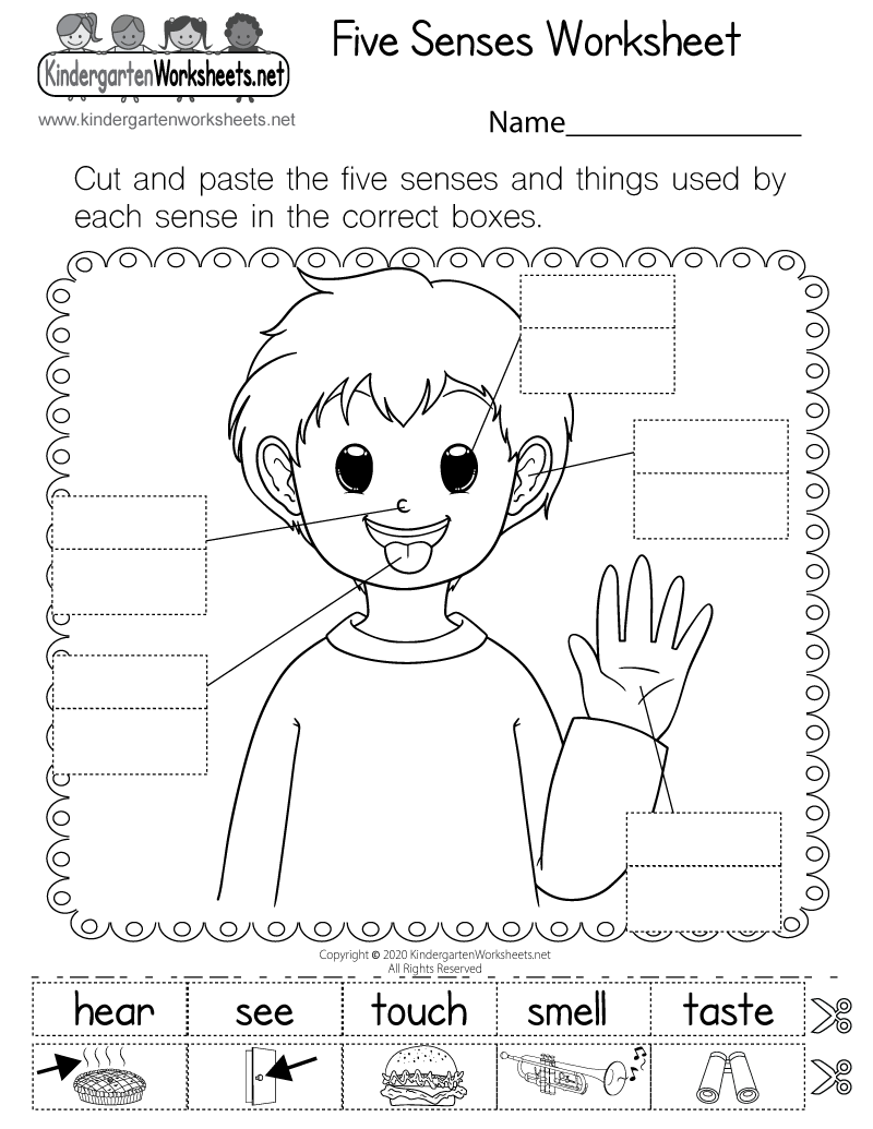 Free Printable Science Worksheets For Pre K