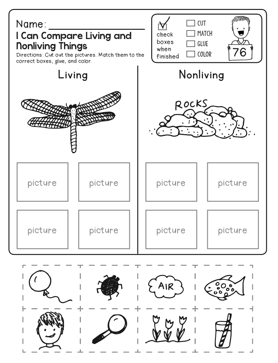 Free 4th Grade Science Worksheet Free Download Free 4th Grade 