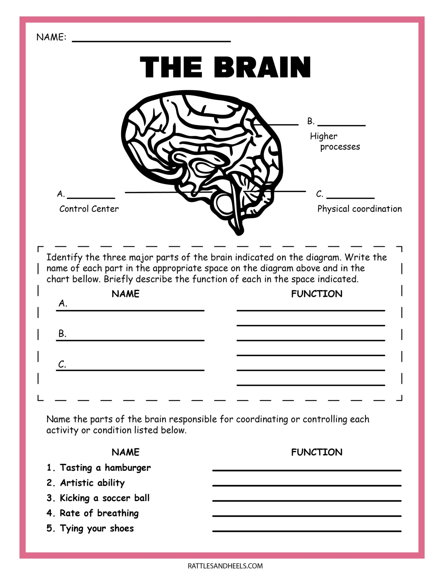 Free Free Printable Science Worksheet For Middle School Download 