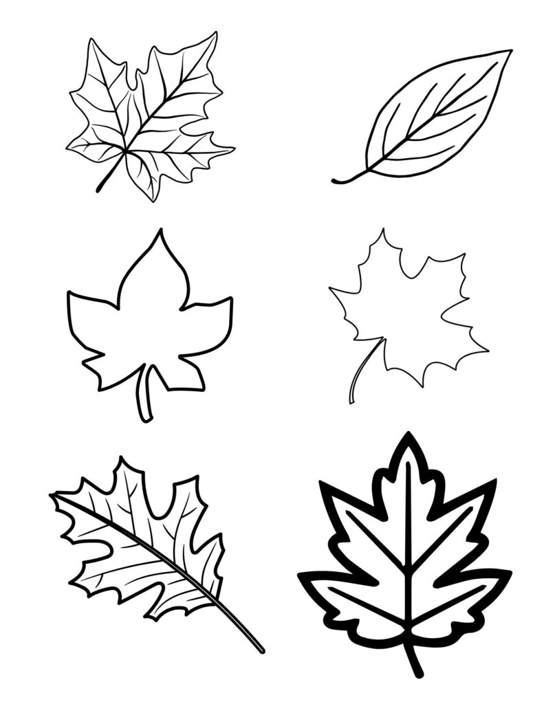 Printable Autumn Leaf Templates