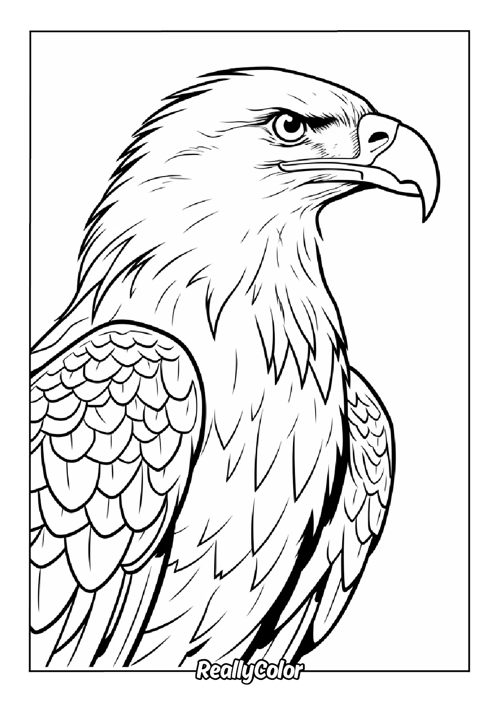 free printable eagle coloring pages