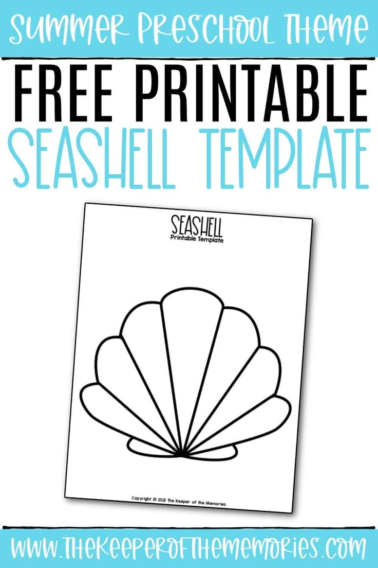 Seashell Template Printable