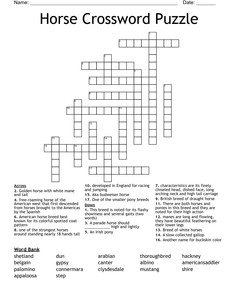 Horse Crossword Puzzle WordMint