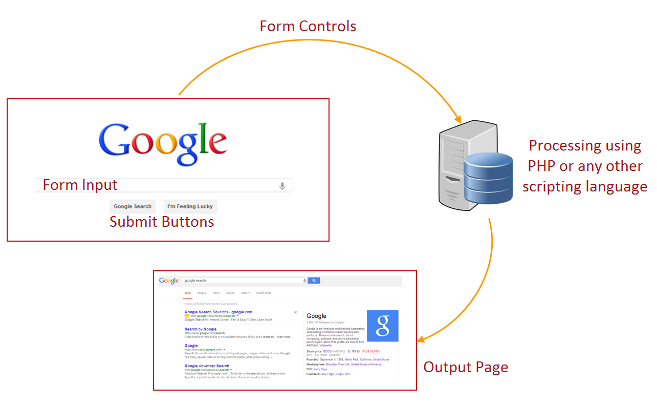 How To Create Forms In HTML WebNots