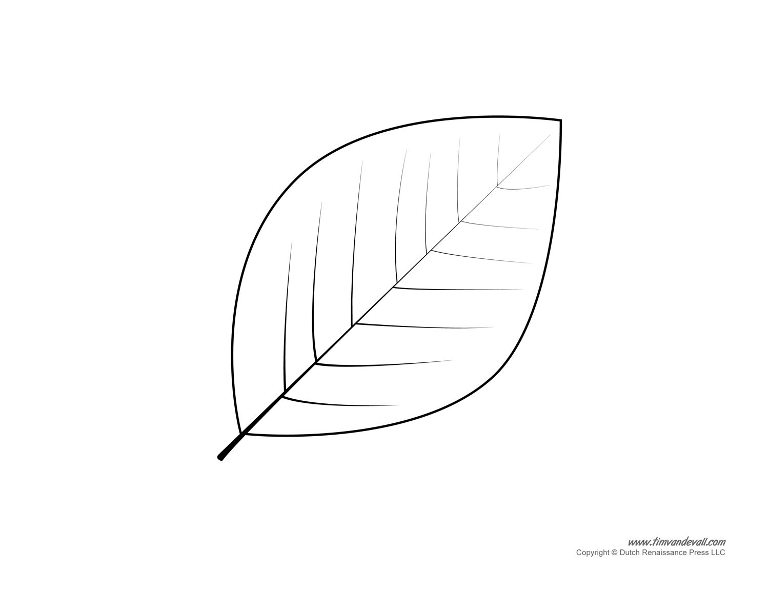 Leaf Template Printable Tim s Printables