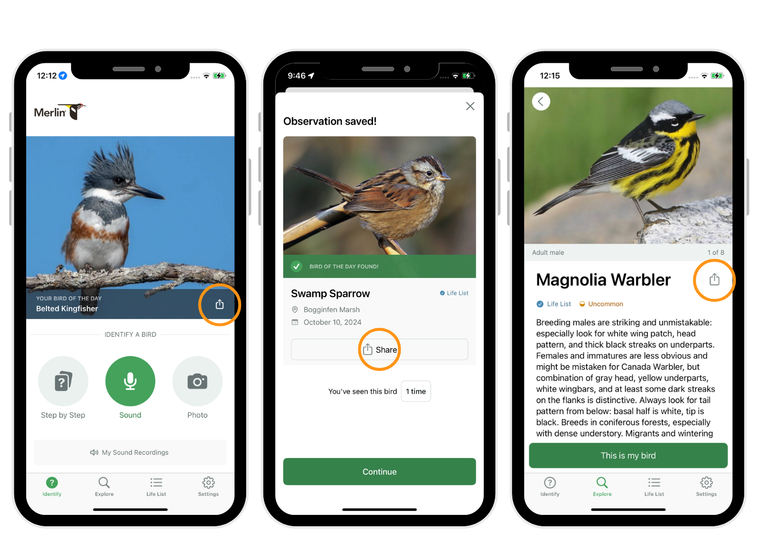 Merlin Bird ID Tips And Tricks Help Center