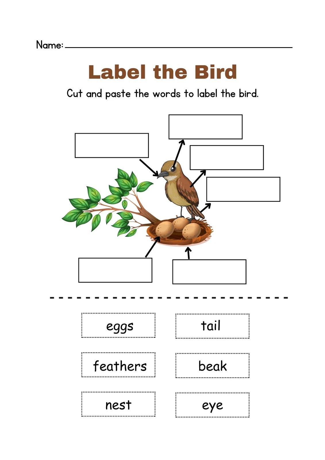 Printable Science Worksheets
