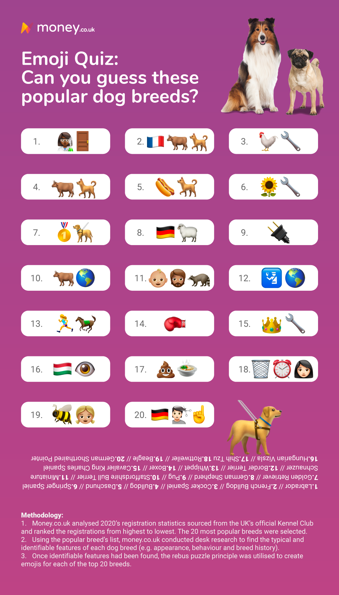 Printable Dog Breed Quiz Dog Breed Quiz