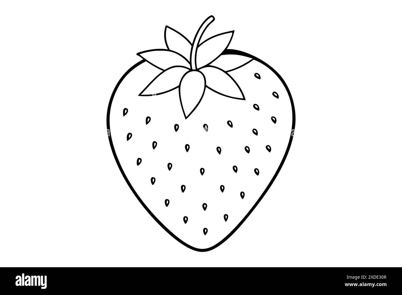 Printable Strawberry Black And White Stock Photos amp Images Alamy