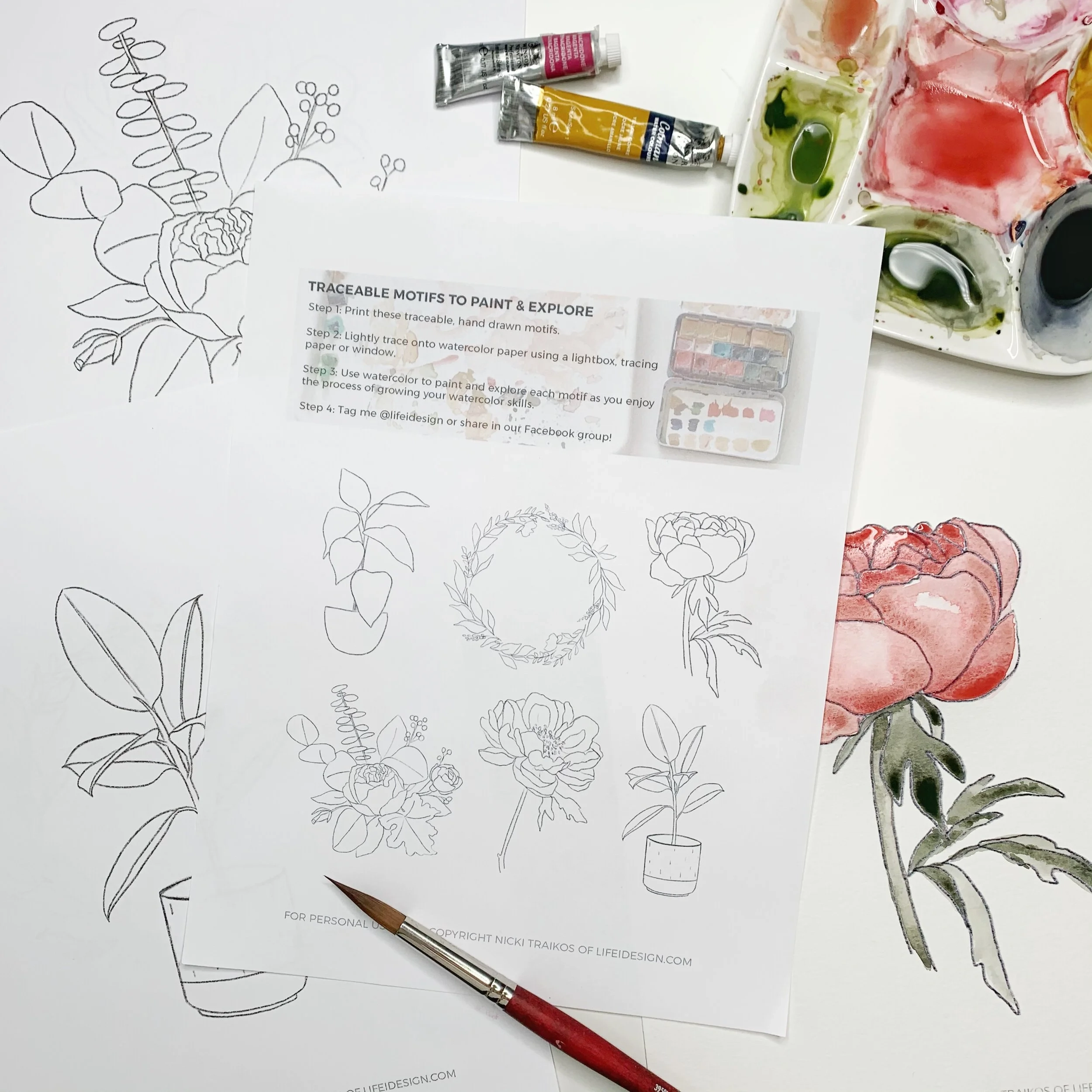 Printable Watercolor Tracing Sheets Nicki Traikos Life I Design 
